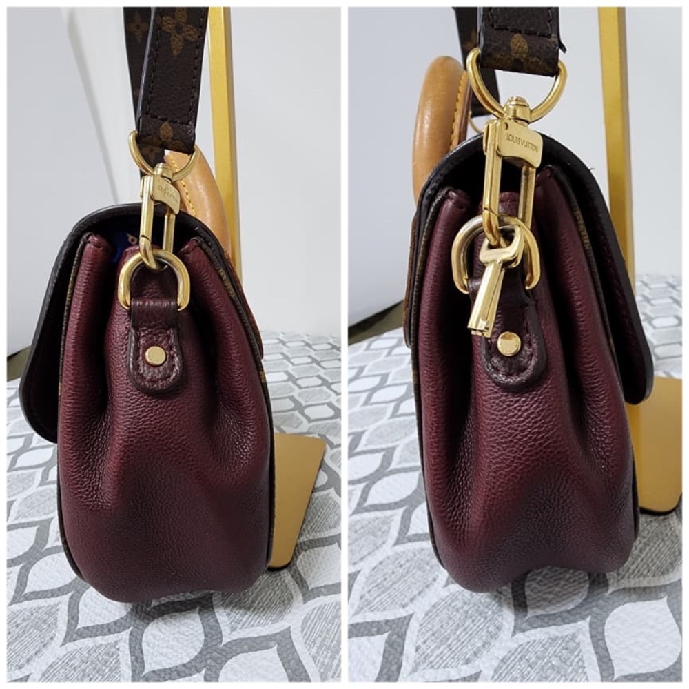 Authentic Louis Vuitton Monogram Canvas Aurore Eden PM Bag - Picture 6 of 14
